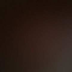 test1